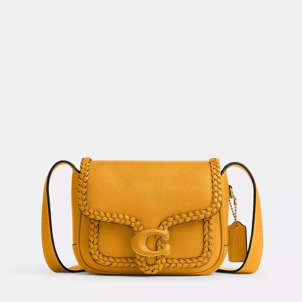 NWOT Coach Messenger 19 with Braided